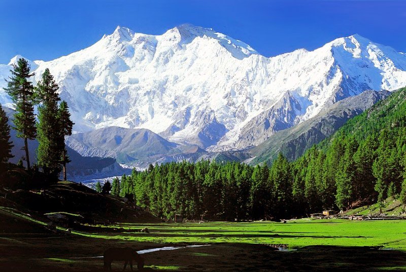 5. Nanga Parbat Top Ten Killer Mountains of the World