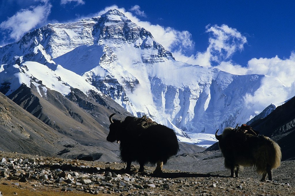 8. Mount Everest Top Ten Killer Mountains of the World