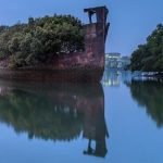 Floating Forest Sydney 1