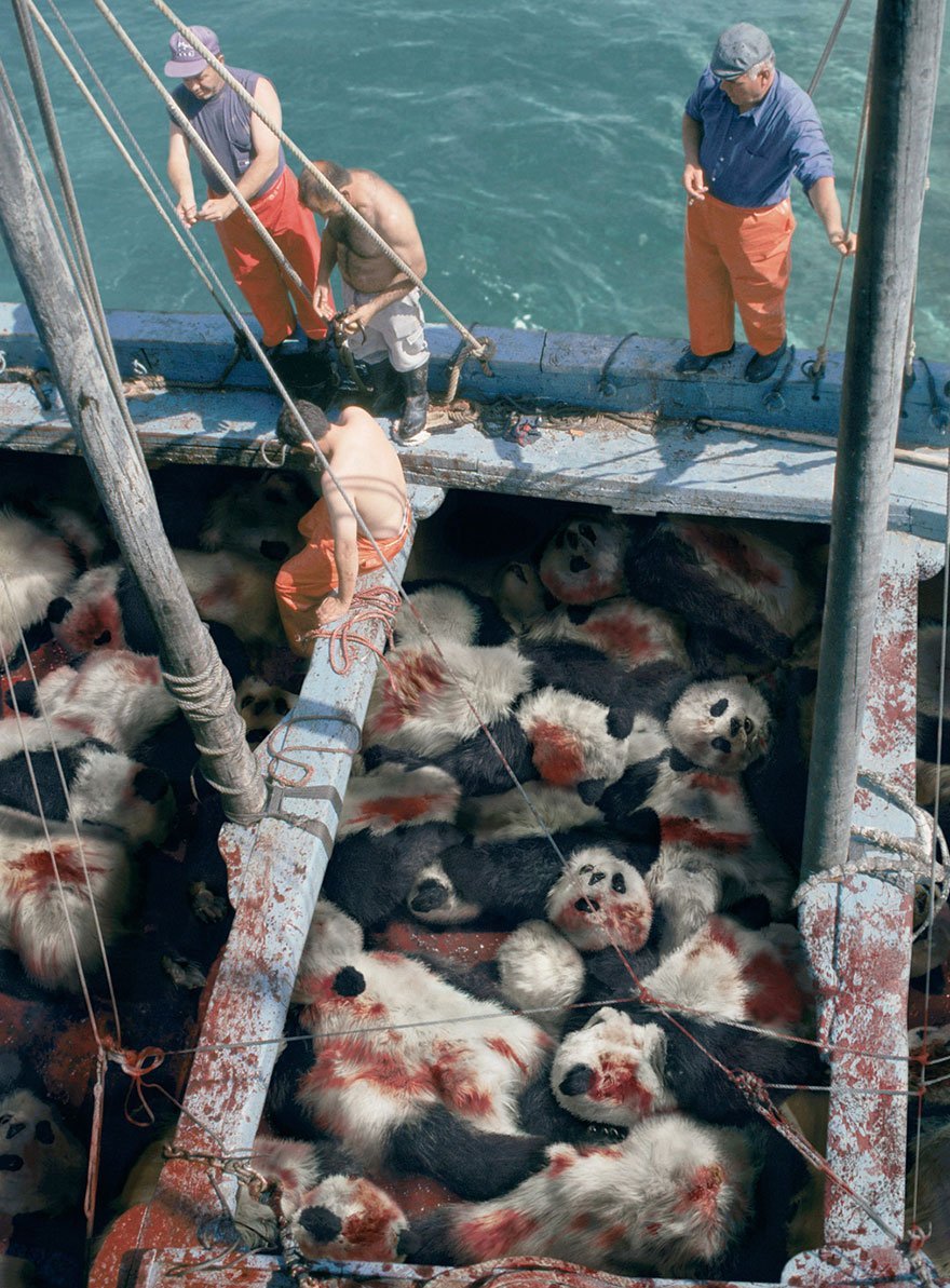 Sea Shepherd Conservation Society: When You See a Tuna, Think Panda