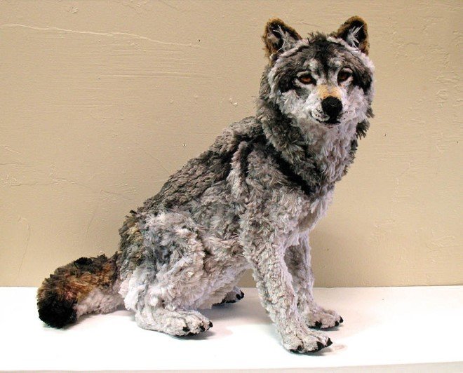 Animal Sculptures Made Entirely Out of Pipe Cleaners (1)