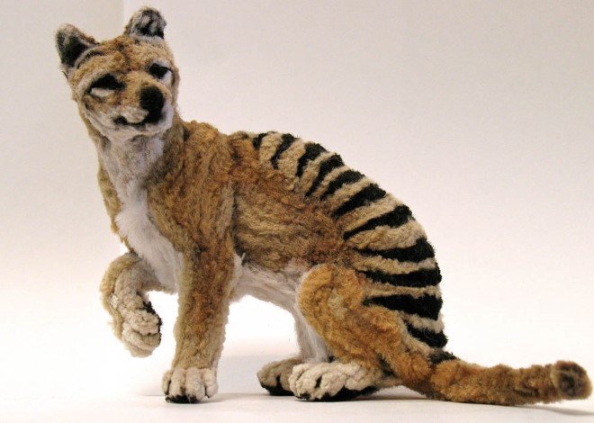 Animal Sculptures Made Entirely Out of Pipe Cleaners (11)