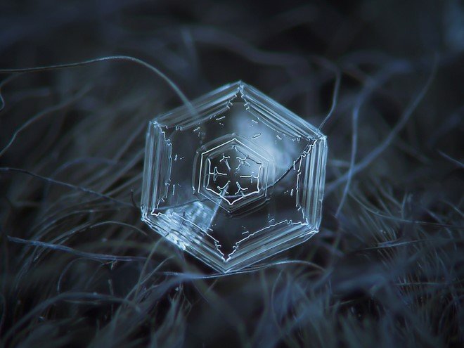 Stunning Macro Images of Snowflakes (11)