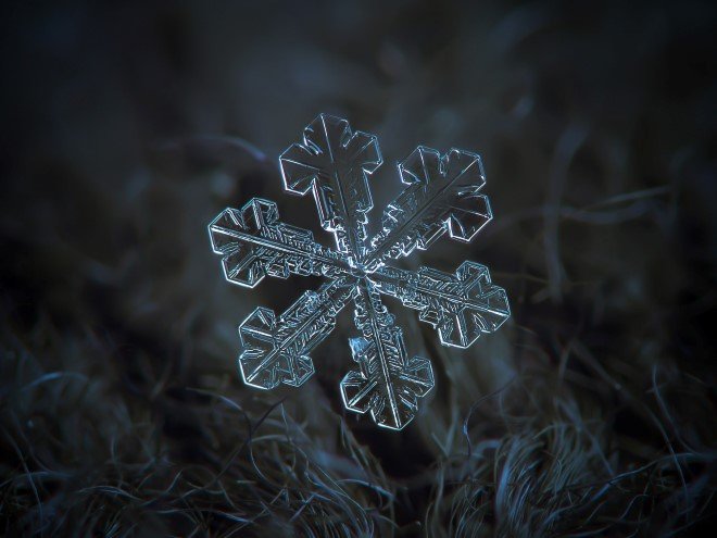 Stunning Macro Images of Snowflakes (13)