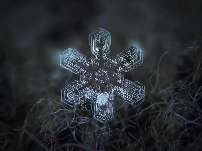 Stunning Macro Images of Snowflakes (14)