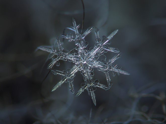 Stunning Macro Images of Snowflakes (18)