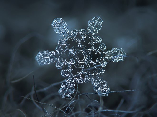 Stunning Macro Images of Snowflakes (2)