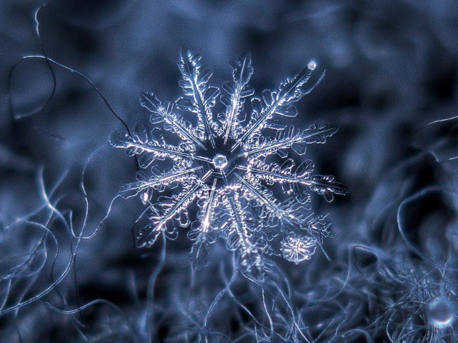 Stunning Macro Images of Snowflakes (20)