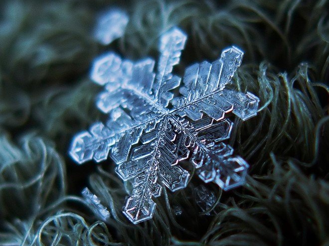 Stunning Macro Images of Snowflakes (22)