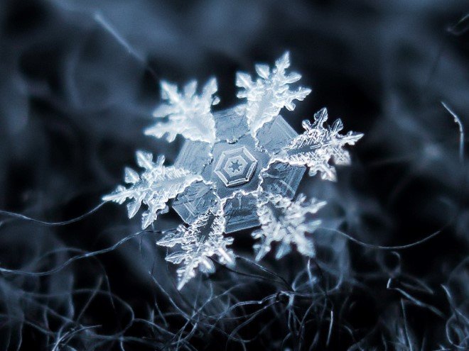 Stunning Macro Images of Snowflakes (24)