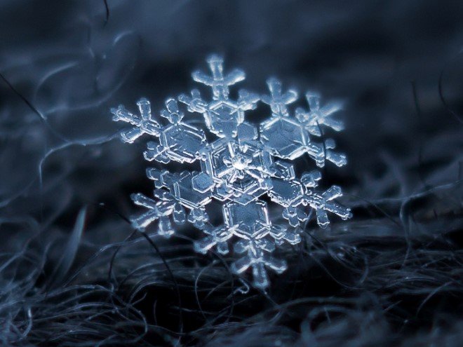 Stunning Macro Images of Snowflakes (25)