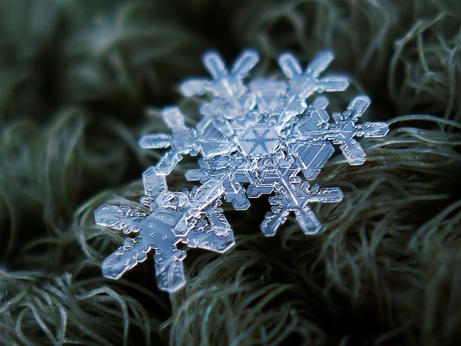 Stunning Macro Images of Snowflakes (29)