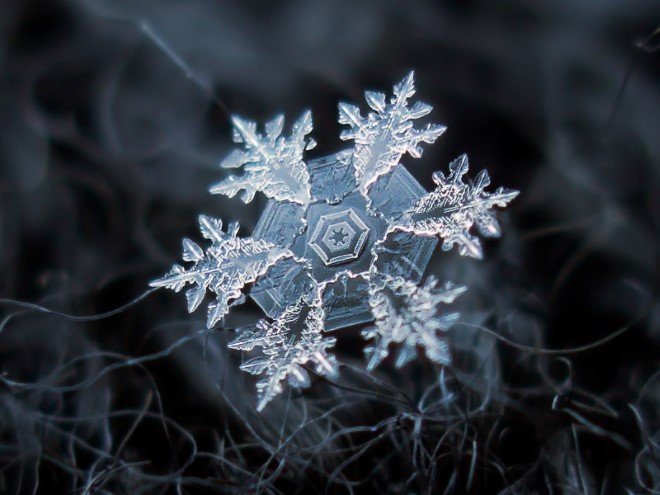 Stunning Macro Images of Snowflakes (30)