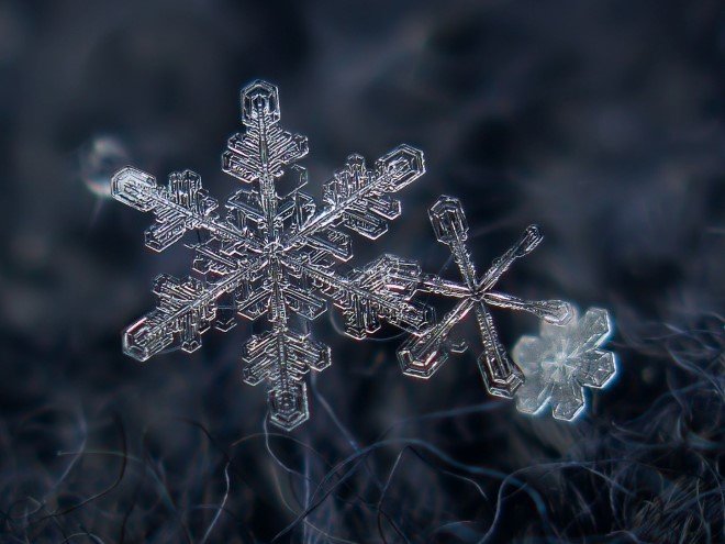 Stunning Macro Images of Snowflakes (31)