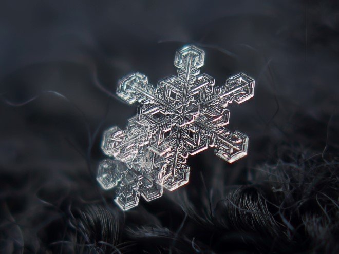 Stunning Macro Images of Snowflakes (32)