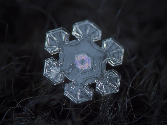 Stunning Macro Images of Snowflakes (6)