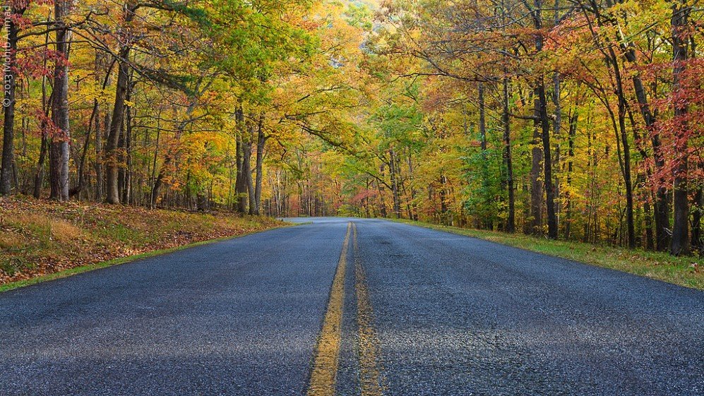 Blue Ridge Parkway, USA (3)