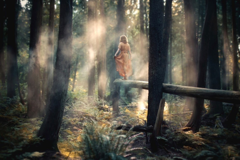 Wanderlust by Elizabeth Gadd 4