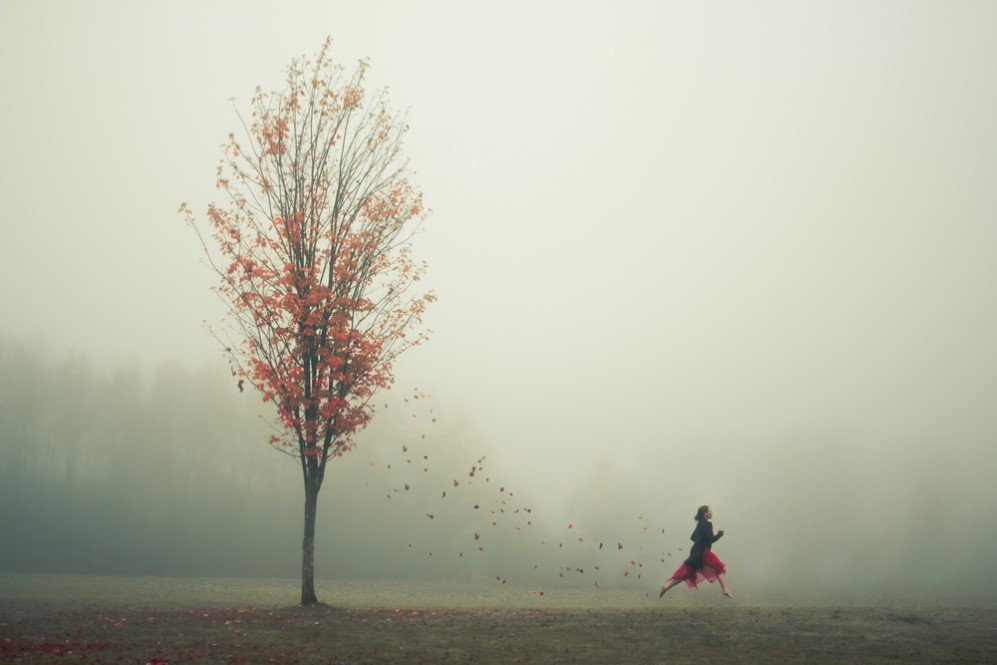 Wanderlust by Elizabeth Gadd 6