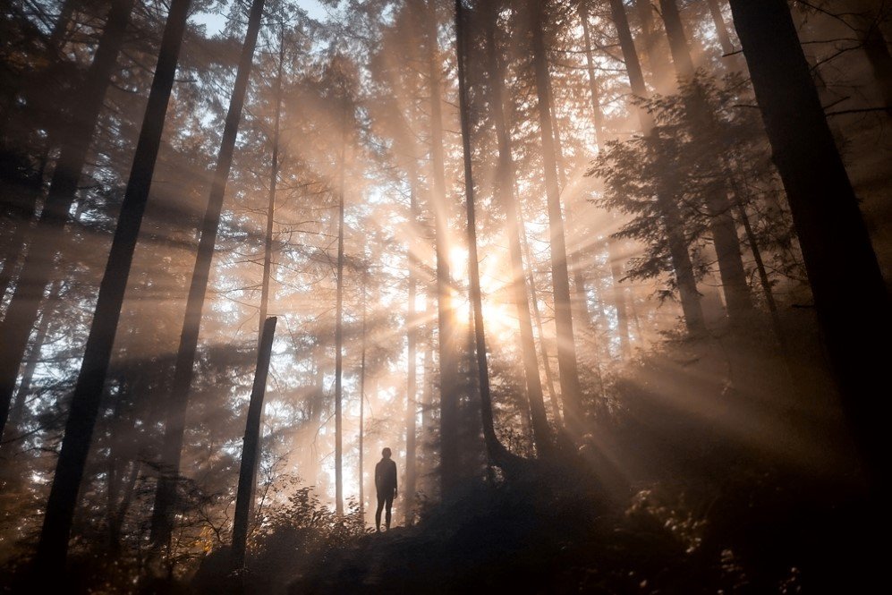 Wanderlust by Elizabeth Gadd 8