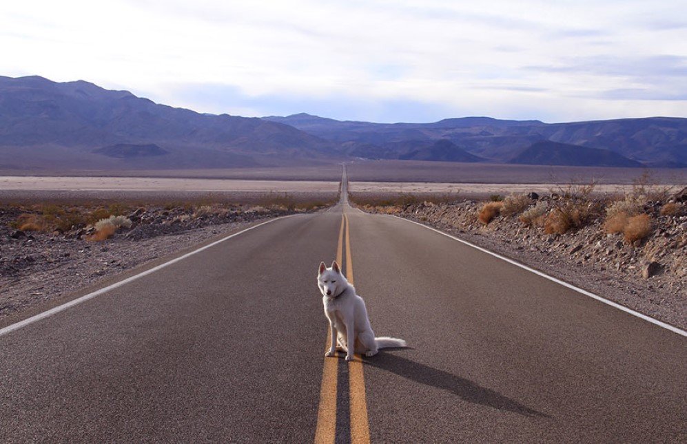 Death Valley CA