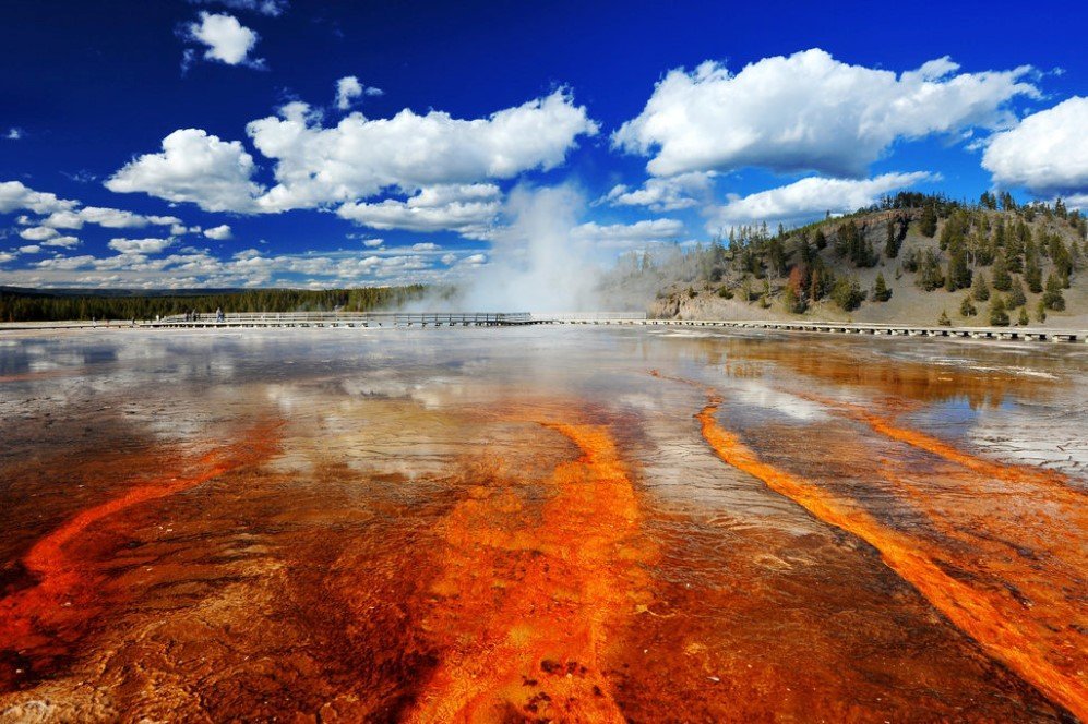 Yellowstone National Park 1