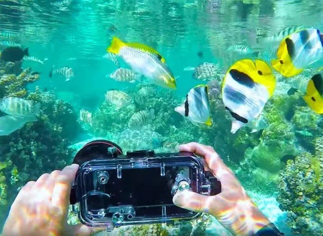 LenZo Underwater Phone Case 5