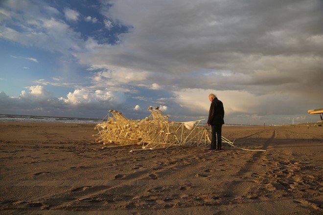 strandbeest 6