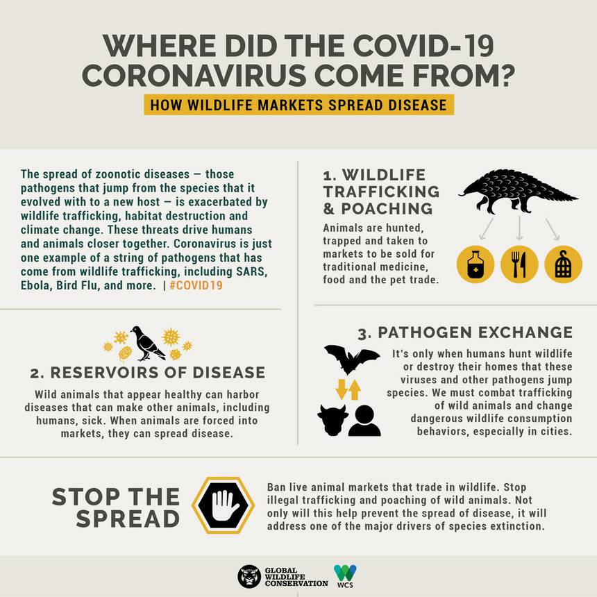 Coronavirus Outbreak