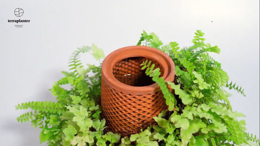 terraplanter self planter