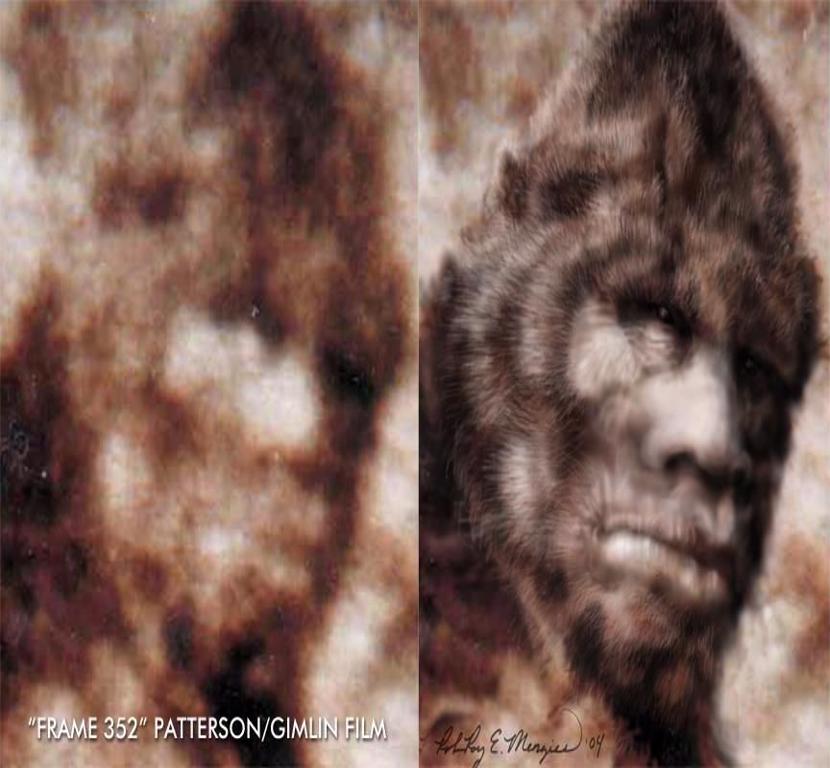 Bigfoot sightings Patterson Gimlin Film